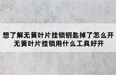 想了解无簧叶片挂锁钥匙掉了怎么开 无簧叶片挂锁用什么工具好开